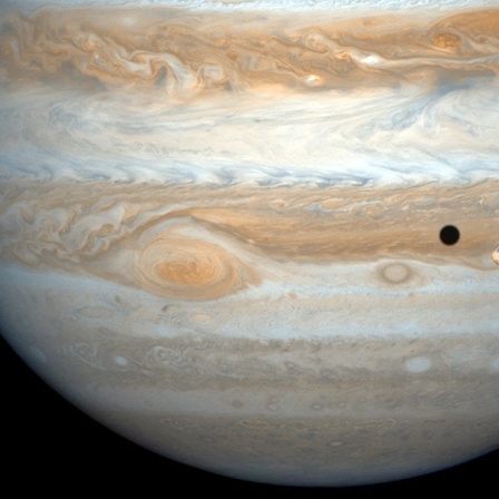 Der Jupitermond Io ist als schwarzer Punkt vor dem Riesenplanet zu erkennen.