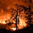 Unlöschbare Waldbrände - Die neuen Superfeuer Europas