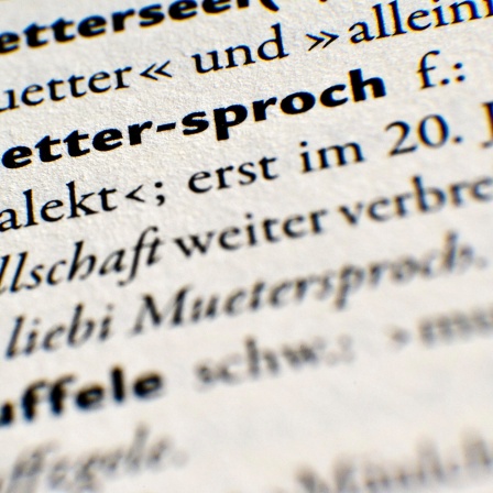 Der Eintrag zum Wort "Muettersproch" in einem Wörterbuch