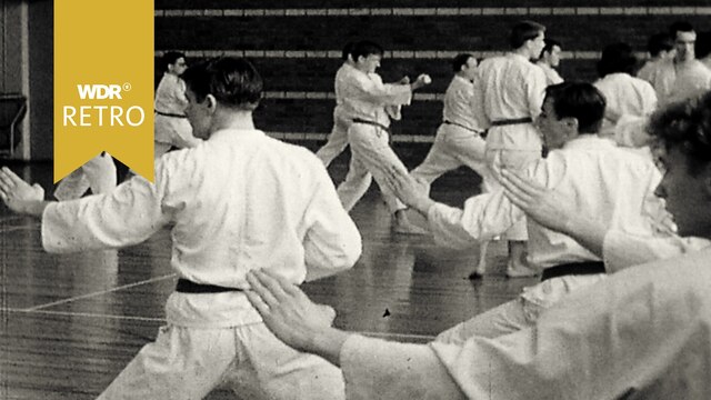 Judo, Karate und Aikido