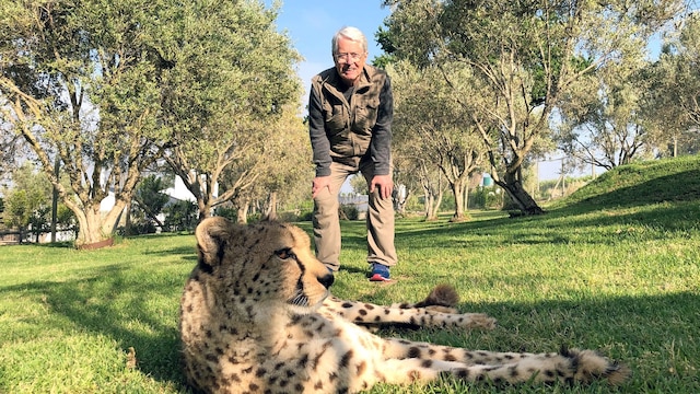 Frank Elstner möchte in Südafrika mehr über Geparden erfahren.