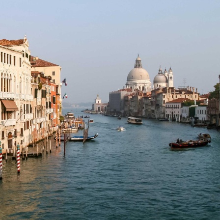Venedigs Lagune - Eine einzigartige ökologische Nische