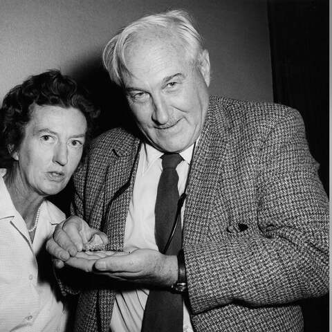 Die Archäologen und Anthropologen Mary Leakey und ihr Mann Louis Leakey, der einen frühmenschlichen Kiefer in der Hand hält