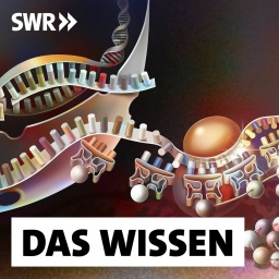 Transkription von DNA in Messenger-RNA und deren Translation: Ernährung, Stress, Bewegung - all diese Faktoren hinterlassen Spuren auf unseren Genen und bestimmen mit, ob bestimmte Erbanlagen aktiv werden oder nicht. So beeinflussen Umwelt und Lebensstil unsere Gesundheit und unsere Persönlichkeit - und das oft über Generationen hinweg.