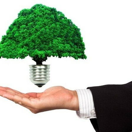 Ein Mann hält eine Glühbirne in Form eines Baumes in seiner Hand.