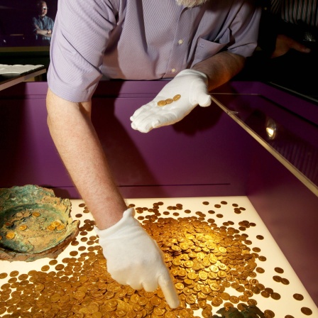 Der Trierer Numismatiker Karl-Josef Gilles platziert am 23.08.2013 im Landesmuseum in Trier (Rheinland-Pfalz) römische Goldmünzen in einer Vitrine.