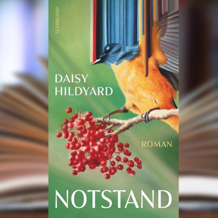 Buchcover: "Notstand" von Daisy Hildyard