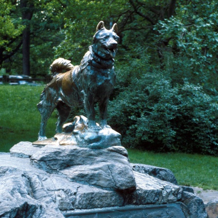 Denkmal für den Schlittenhund Balto im Central Park, Manhattan, Standbild, Schlittenhunde