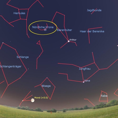 Der Stern Gemma in der Nördlichen Krone steht abends hoch am Himmel. 