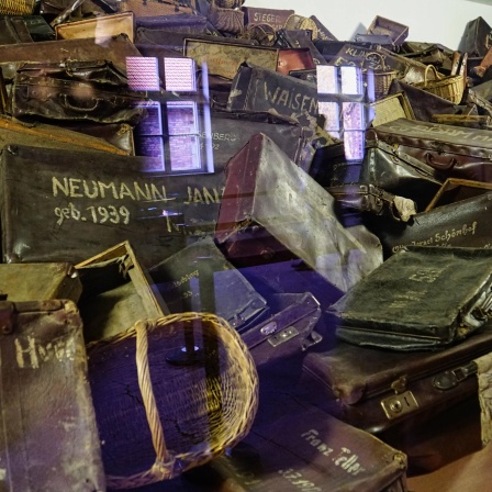 Blick in die Glasvitrine mit unzähligen alten Koffern von Häftlingen und ermordeten Juden in der Gedenkstätte des ehemaligen Konzentrationslager Auschwitz.