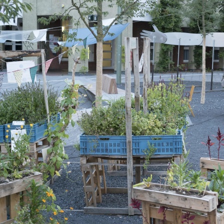 Urban Gardening: Garten in der Stadt