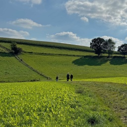 Weite, grüne Felder bei Sonnenschein auf denen Menschen spazieren. 