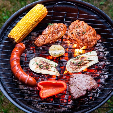 Übersicht auf einen Grill, der auf einer Wiese steht. 