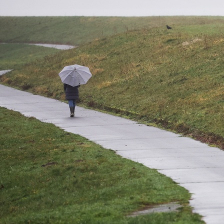 Eine Frau geht bei Tespe (Landkreis Harburg) bei Regen am Elbdeich entlang.