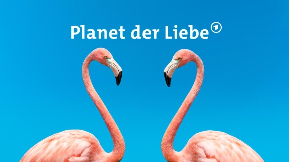 Planet Der Liebe - Trailer: Planet Der Liebe (s01/e00)