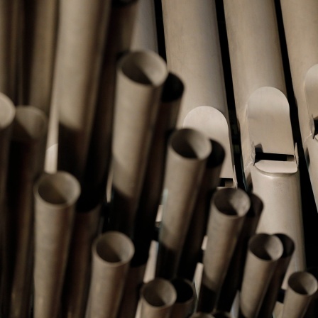 Orgel