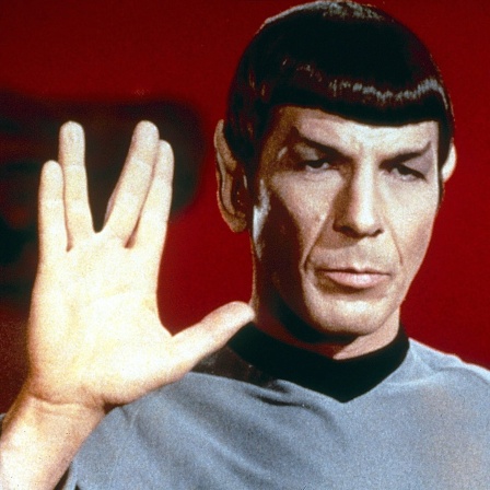 Leonard Nimoy als Mr. Spock