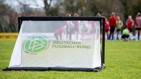 Morgenmagazin - Neue Spielformen Im Nachwuchsfußball Ab 2024