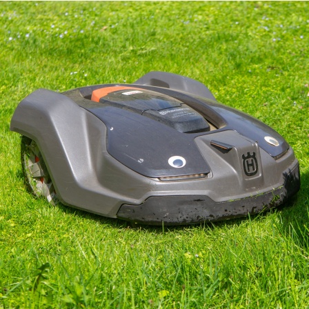 Ein schwarzer Mähroboter fährt an einer Hecke vorbei über den Rasen.