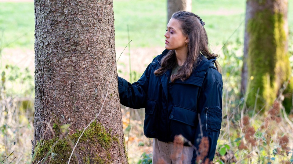 Sorgen um Henry (4470)