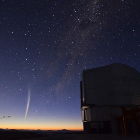 Der vor kurzem entdeckte Komet Lovejoy (M) ist am 22.12.2011 in der Dämmerung am Horizont Weihnachtsgeschenk für Astronomie-Fans von der Paranal-Observatorium der ESO in Chile aus zu sehen. Der Himmelskörper habe unerwartet seine Passage an der Sonne überlebt, wie die Europäische Südsternwarte (Eso) mitteilte. Sichtbar sei der Komet allerdings nur von der Südhalbkugel aus. Sein heller Schweif ist mehrere Millionen Kilometer lang und besteht aus Staubpartikeln, die vom Sonnenwind davongetrieben werden. Foto: Gabriel Brammer/ESO dpa (zu dpa 1257 am 27.12.2011) ++