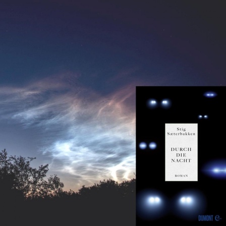 Buchcover: Stig Sæterbakken: "Durch die Nacht"