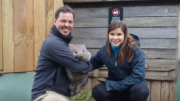 Anna, Paula, Pia Und Die Tiere - Anna Und Die Wilden Tiere: Warum Der Wombat Würfel Kackt
