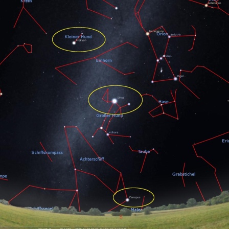 Sternbilder im Himmel. Der Horizont ist dunkelblau, fast schwarz und unten sieht man eine grüne Wiese und Bäume. Die Sternbilder sind durch rote Linien erkennbar. Drei sind gelb umkreist.