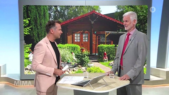 Mittagsmagazin - Rechtsexperte Häfner Bringt Licht Ins Dickicht Deutscher Gartenordnung