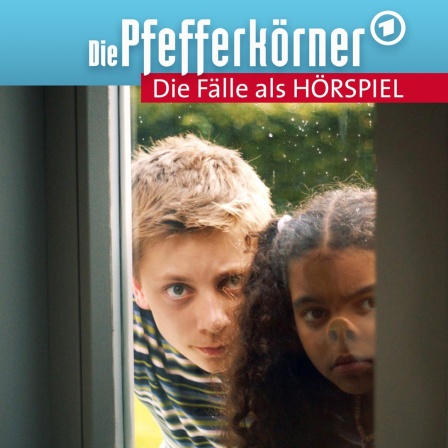 Pfefferkörner-Audio Folge 18: Entführt