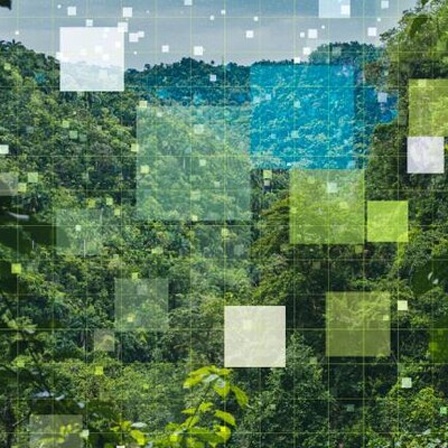 Digital erzeugte Illustration: Grüner, dichter Regenwald überlagert von einem Gitter und Quadraten in verschiedenen Größen als technologisches Konzept.