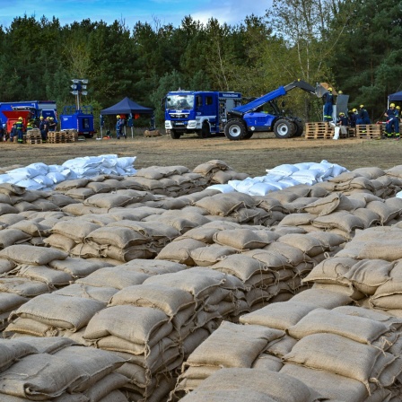 Ehrenamtliche Helfer vom Technischen Hilfswerk füllen Sandsäcke gegen das Hochwasser des Flusses Oder.  (Bild: picture alliance/dpa/Patrick Pleul)