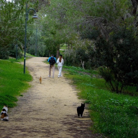 Ein Mann und eine Frau gehen durch den Athalassa Park in der zypriotischen Hauptstadt Nicosia.