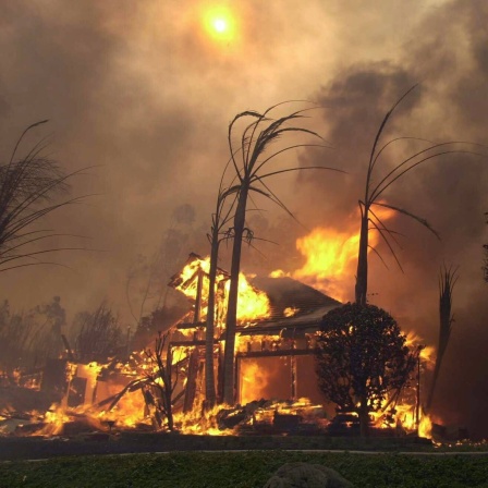 Wohnhaus steht in Flammen aufgrund der Waldbrände in San Diego / Kalifornien