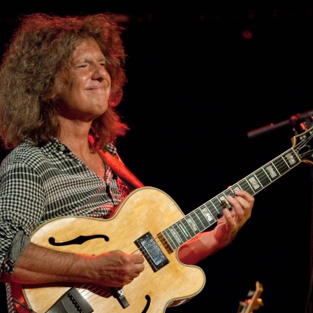 Pat Metheny, Gitarrist