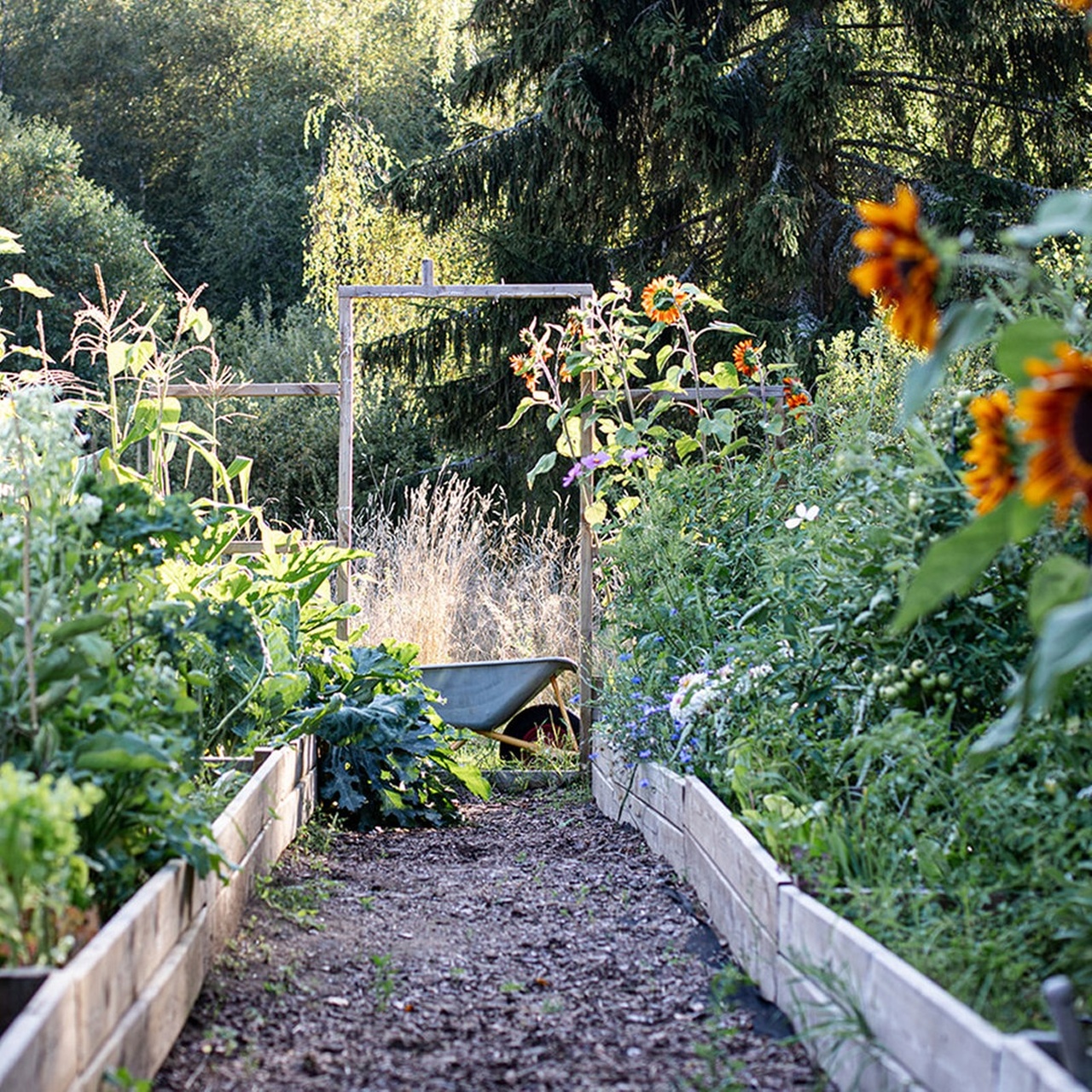 Im Grünen Bereich Der NDR Gartenpodcast · Slow Gardening entspannt