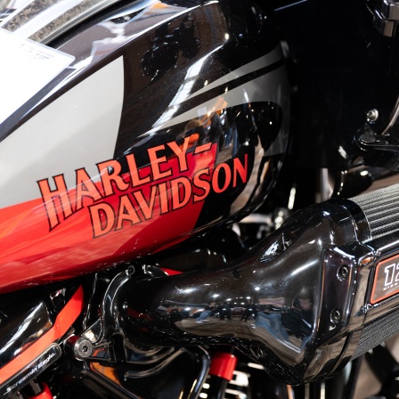 Harley