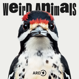 Cover Weird Animals Episode 29 Specht