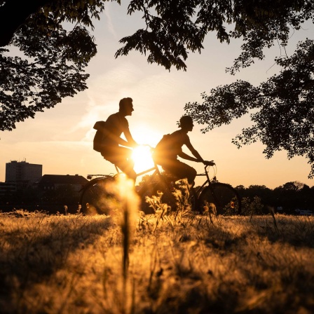 Zwei Menschen fahren im Gegenlicht der Sonne Fahrrad.