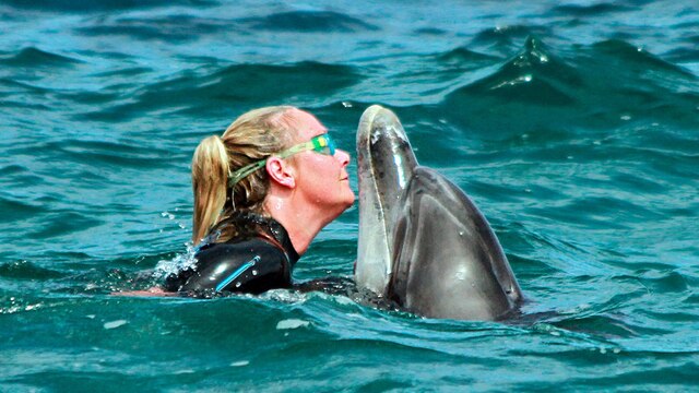 Seit zehn Jahren lebt die gebürtige Deutsche Ute Margreff in Irland, und seit 2000 begleitet sie die Delfindame Mara auf ihren Streifzügen im kalten Atlantikwasser.