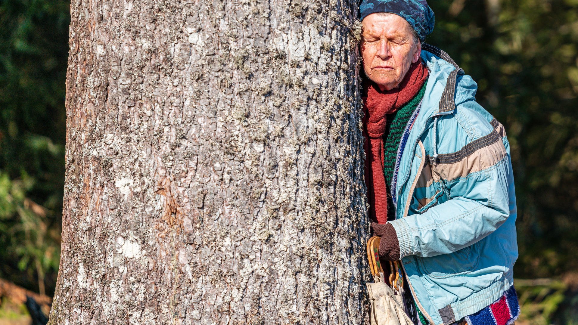 Die Fallers: Folge 1184 – FDOMF