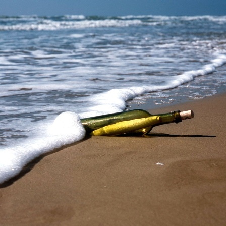 An einen Strand gespülte Flaschenpost