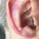 Leise, laut, Lärm: Was unsere Ohren vertragen - und was nicht