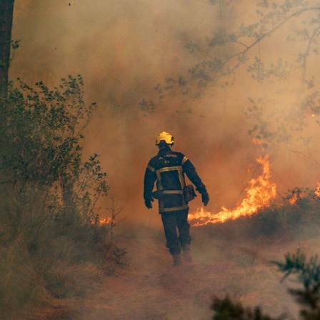 Unlöschbare Waldbrände - die neuen Superfeuer Europas