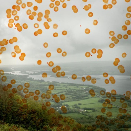 Blick auf grüne Hügel und eine Seenplatte. Das Foto wird von einer Grafik aus orangen Punkten überlagert.