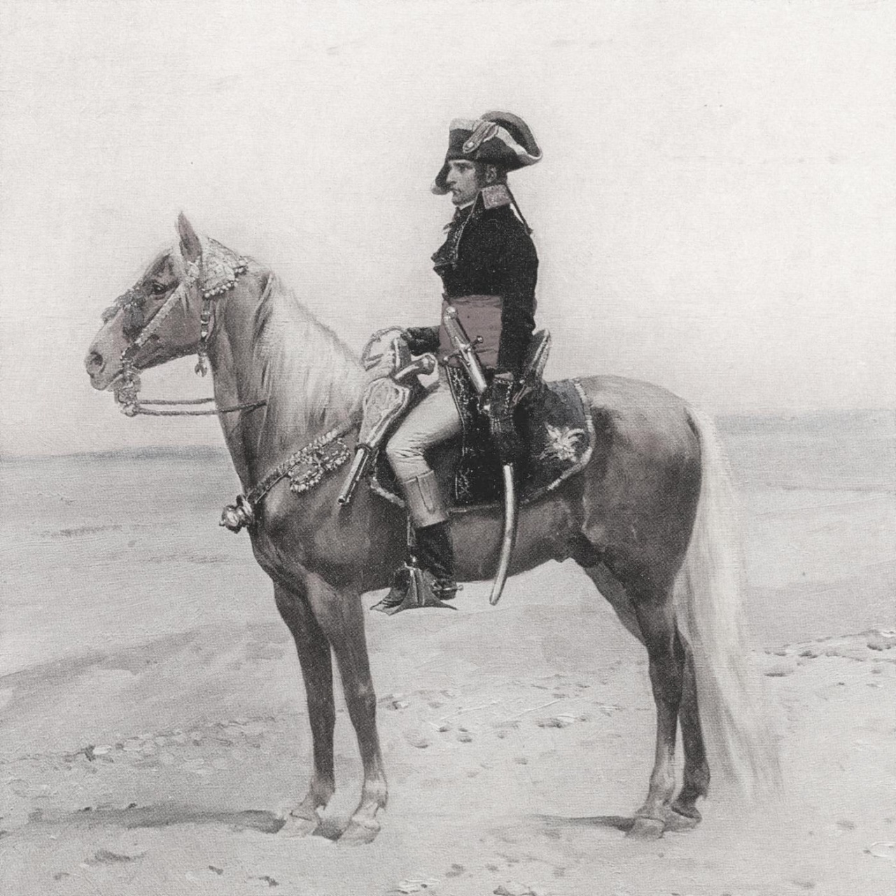 Tatort Geschichte True Crime meets History · Napoleon Ein Tyrann im