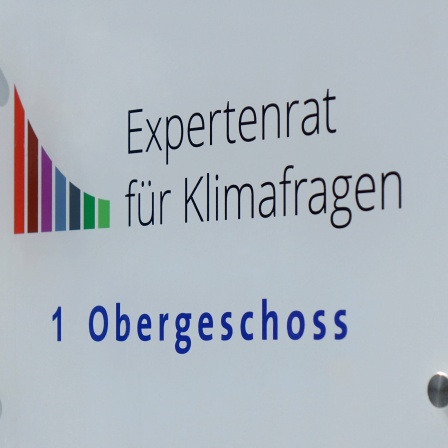 Expertenrat