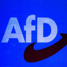 Das AfD-Logo auf blauen Hintergrund. Im Vordergrund ist noch eine dunkle Silouette einer Person erkennbar.