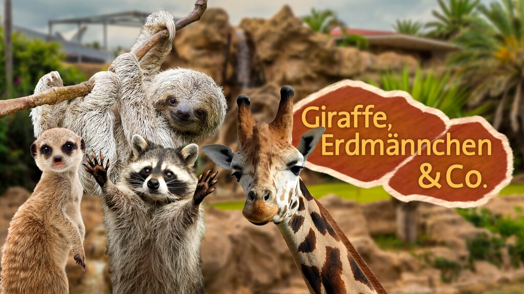 Giraffe, Erdmännchen & Co.