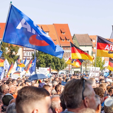 Wahlkampf-Abschlussveranstaltung der AfD auf dem Erfurter Domplatz.